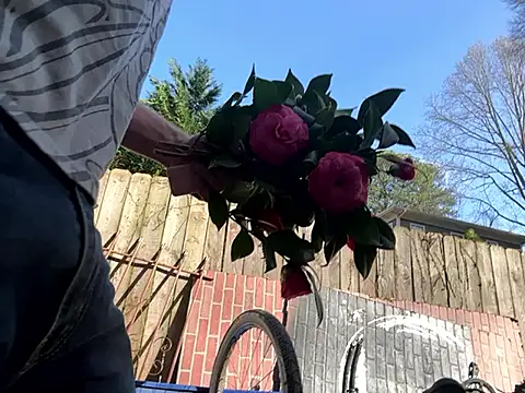 trash4cash online show from March 2025 09:06:02 PM