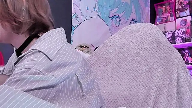 Supaidagaru online show from April 2026 04:57:02 PM