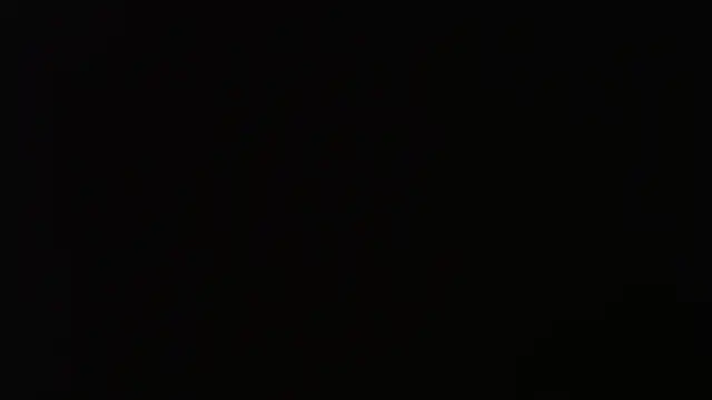 gauchinhaG online show from October 2025 11:24:02 PM