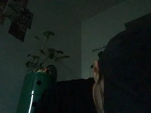 Snapshot of Eric246 chatting on July 2026 10:54:02 AM Eric246 online show from July 2026 10:54:02 AM