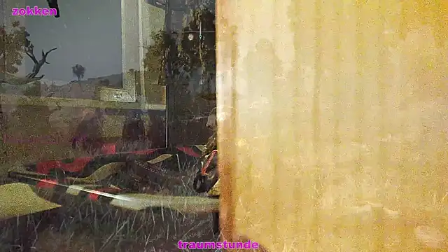 BongChannel online show from January 2025 06:43:02 AM