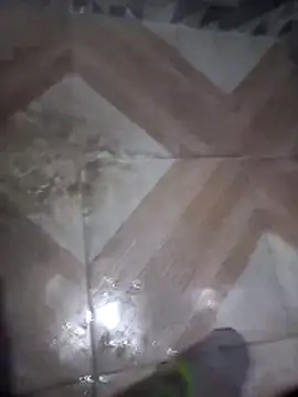 Snapshot of putosafado669 chatting on December 2025 01:19:01 PM putosafado669 online show from December 2025 01:19:01 PM