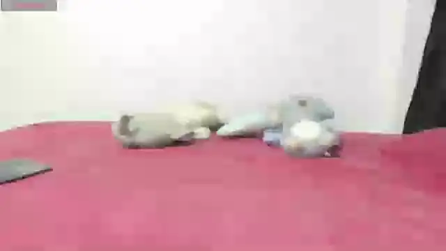 Snapshot of Mayte_sexy chatting on February 2025 12:16:01 AM Mayte sexy online show from February 2025 12:16:01 AM