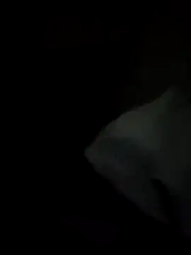 tessafontana37 online show from January 2025 02:32:02 AM