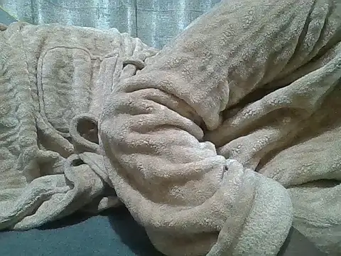 Fine assie online show from April 2026 11:20:02 PM