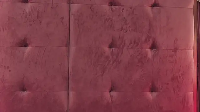 CeylanXO online show from February 2025 10:22:01 AM