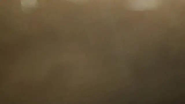 Alphapimmelchen online show from February 2025 03:54:01 PM