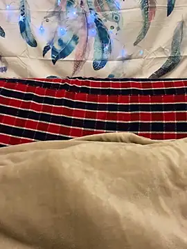 Snapshot of A6229 chatting on January 2025 02:36:02 PM A6229 online show from January 2025 02:36:02 PM