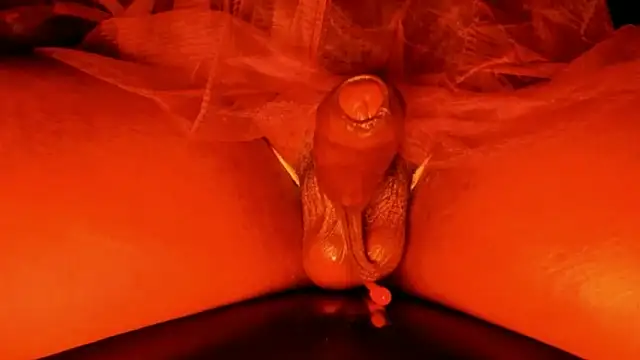 Open2Offers online show from February 2026 07:40:01 AM