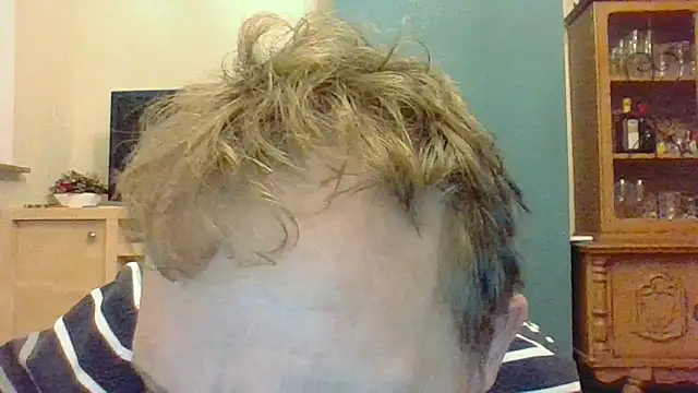 bertolini online show from November 2025 04:38:02 PM