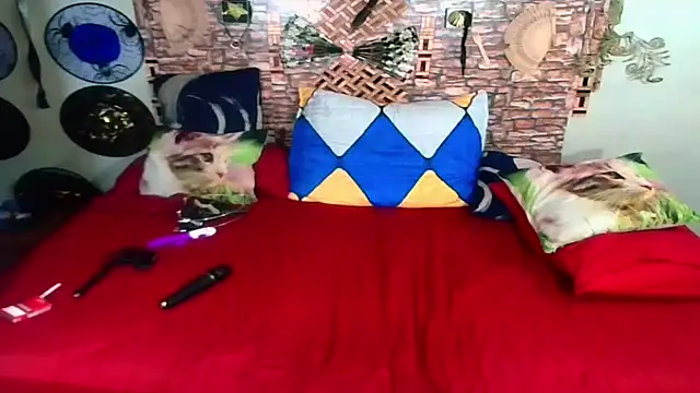 Indian Blaze00 online show from October 2025 10:46:02 AM