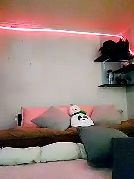 Paudelatorre online show from February 2026 08:45:01 PM