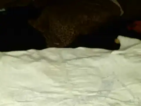 Sweetie pussy online show from February 2025 11:28:02 AM