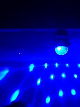 AmazonianMistress online show from February 2025 03:59:01 PM