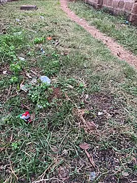 Black-mamba-madingo online show from October 2025 05:14:02 PM