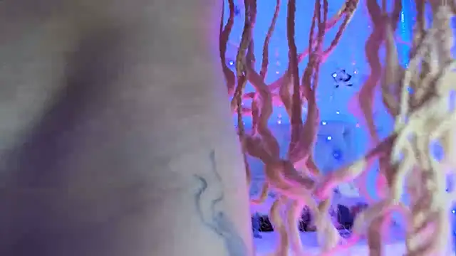 gabbiefoxthx online show from February 2025 11:58:02 PM