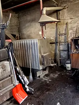 MityaXLoves online show from January 2026 07:01:01 AM