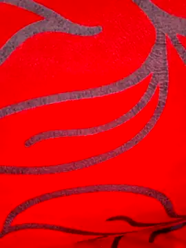 Snapshot of Rozittaa chatting on May 2026 06:05:01 PM Rozittaa online show from May 2026 06:05:01 PM
