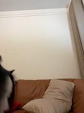 Hot Mm online show from December 2024 09:35:01 AM