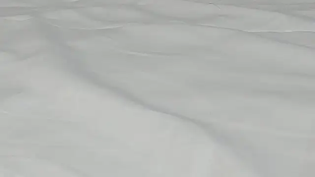 kamila twink sexy online show from March 2026 02:50:01 PM