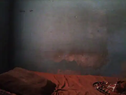 little  joy online show from November 2025 01:44:02 PM