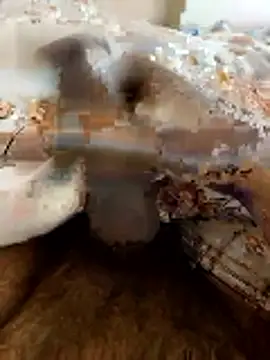 Hard stick007 online show from January 2026 09:57:02 AM