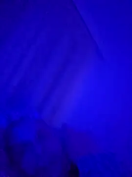 denisxlRo online show from March 2025 08:11:01 PM