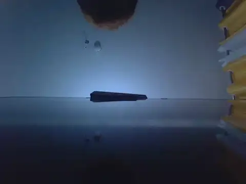 Autumnblack003 online show from February 2026 08:43:01 PM