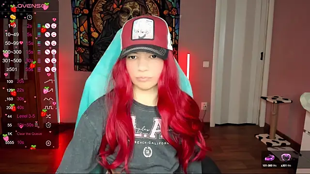 Project hisoka online show from January 2025 07:38:01 AM