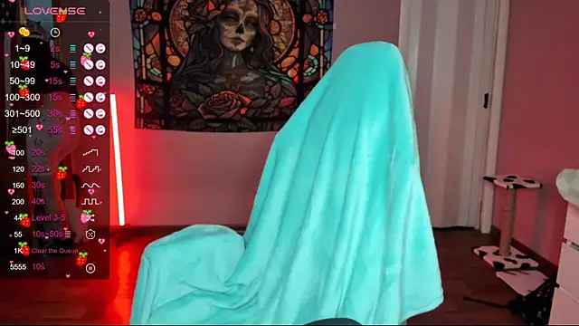 Project hisoka online show from January 2025 08:43:02 AM