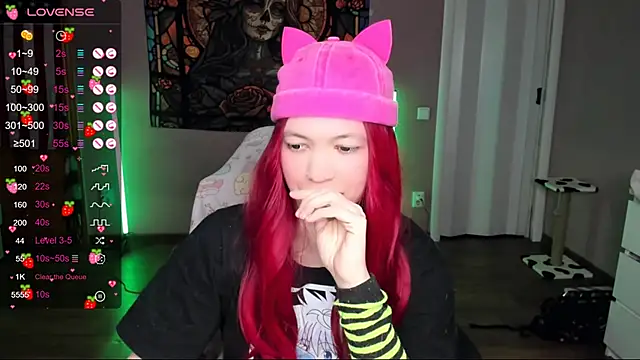 Project hisoka online show from January 2025 03:52:02 PM