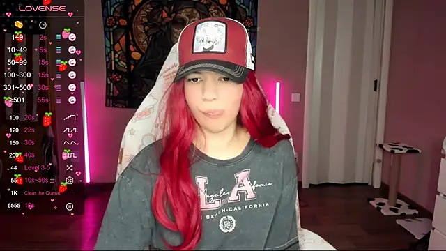 Project hisoka online show from January 2025 04:04:01 PM