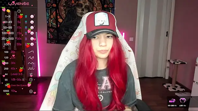 Project hisoka online show from January 2025 09:17:01 PM