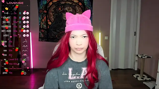 Project hisoka online show from January 2025 03:39:02 AM