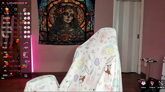 Project hisoka online show from January 2025 02:18:01 AM