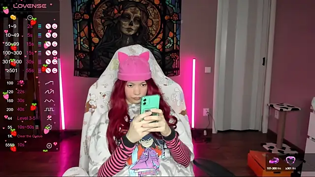 Project hisoka online show from January 2025 02:08:02 PM