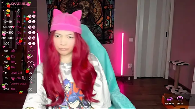 Project hisoka online show from January 2025 12:59:01 PM