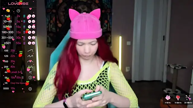 Project hisoka online show from January 2025 02:48:01 AM