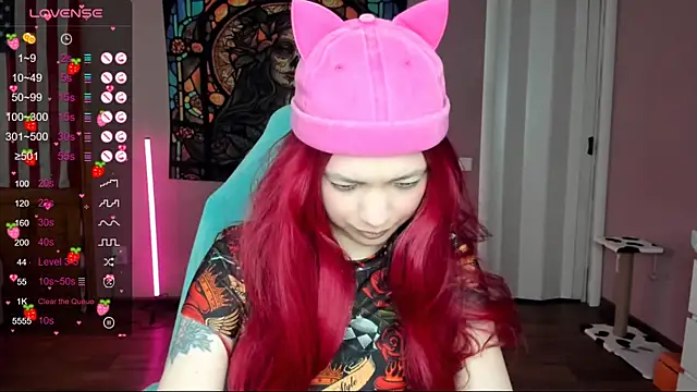 Project hisoka online show from February 2025 10:15:02 AM