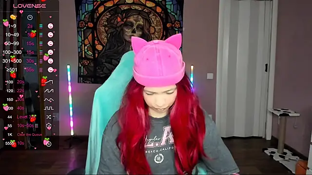 Project hisoka online show from February 2025 12:34:02 PM