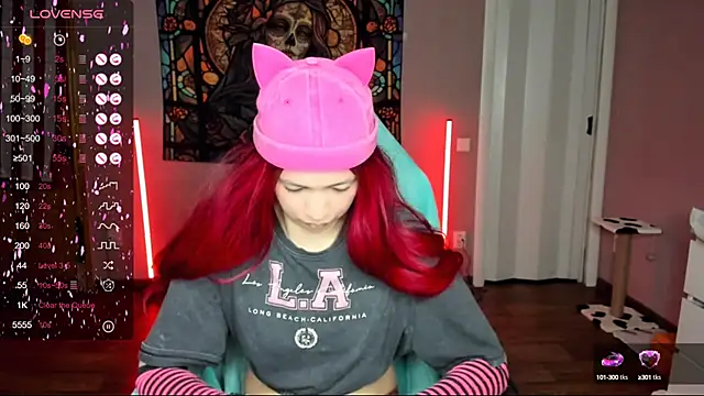 Project hisoka online show from February 2025 03:15:02 PM