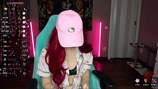 Project hisoka online show from March 2025 01:53:02 PM