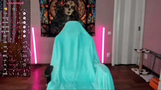 Project hisoka online show from March 2025 05:07:02 AM