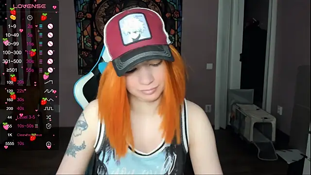 Project hisoka online show from March 2026 02:38:02 AM