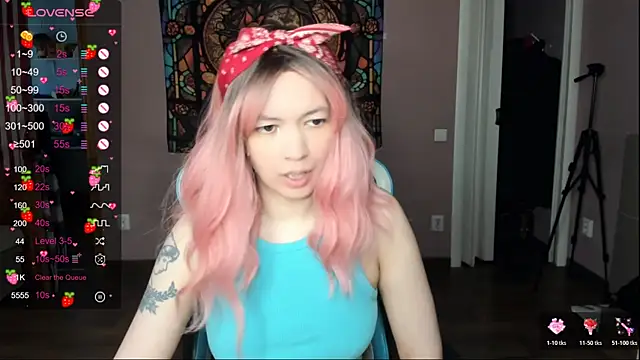 Project hisoka online show from April 2026 02:50:02 AM