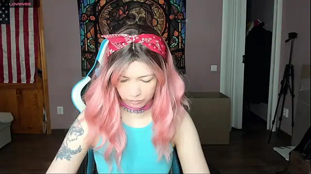 Project hisoka online show from April 2026 06:27:01 AM