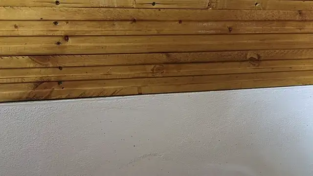 00loret online show from February 2025 03:30:01 PM