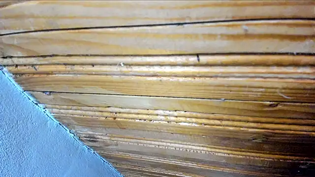 00loret online show from February 2025 10:39:02 AM