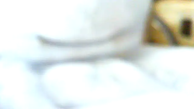 volficxh online show from April 2026 08:44:02 AM