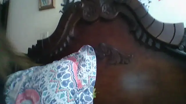 trianabell online show from January 2026 05:18:01 PM